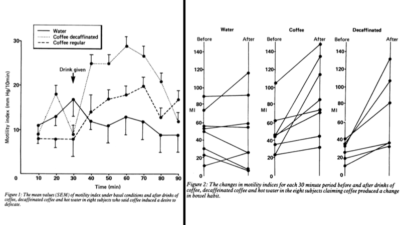 Illustration for article titled Why does coffee make you poop?